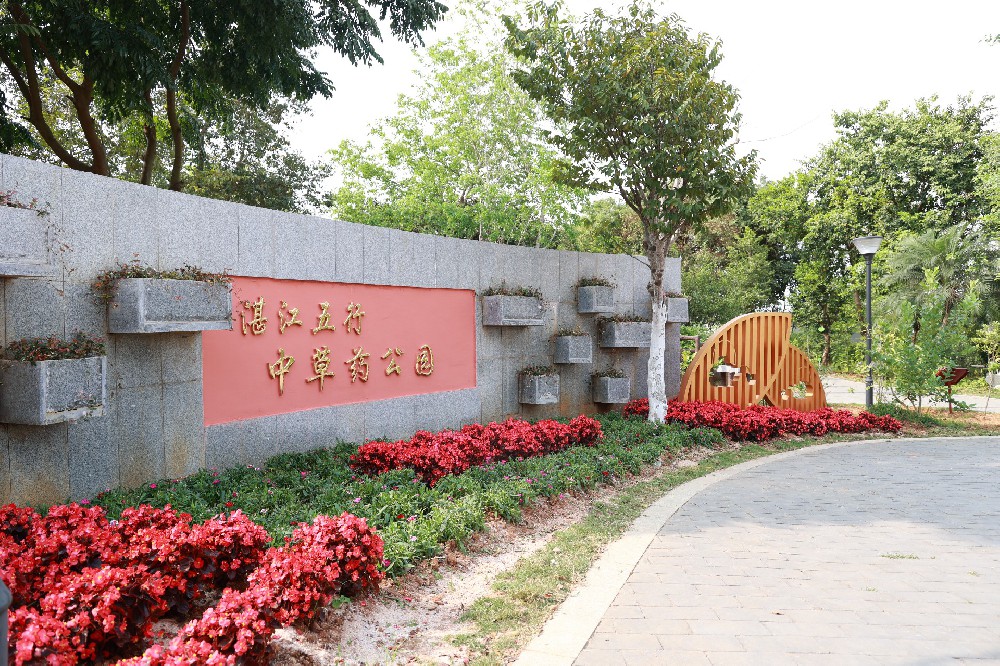 学校美景
