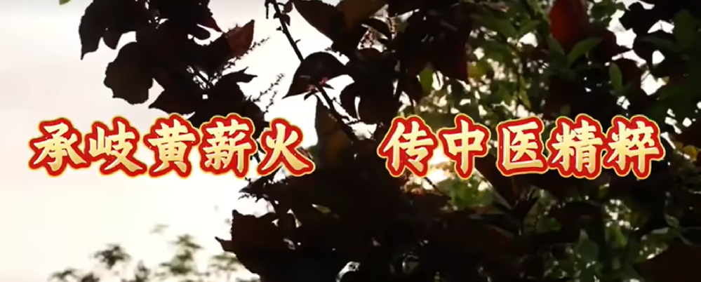承岐黄薪火  传中医精粹
